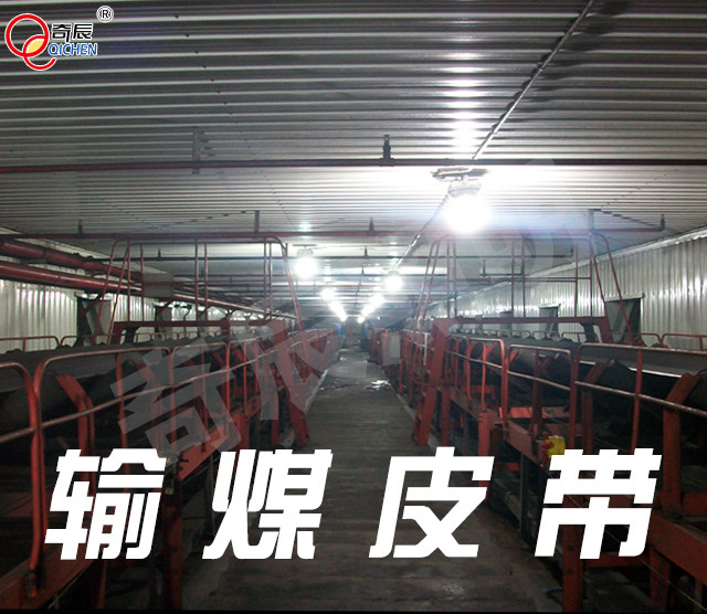 输煤皮带照明灯具