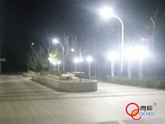 水电站厂区道路照明案例